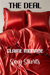 erotica ebook cover for The Deal with red satin sheets